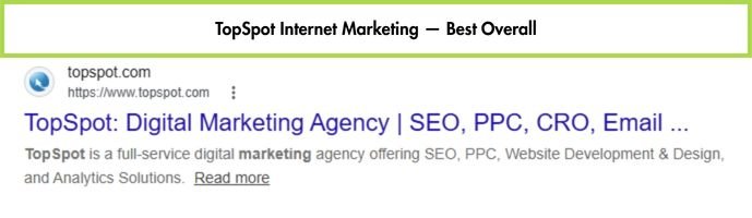 TopSpot Internet Marketing website homepage, Houston B2B SEO agency