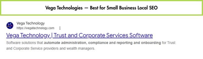 Vega Technologies website homepage, local SEO agency for small businesses